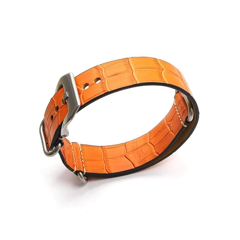 22mm 24mm Orange / Red / Blue / Green / Brown Leather Watch Strap with Silver / Black Buckle [W069]